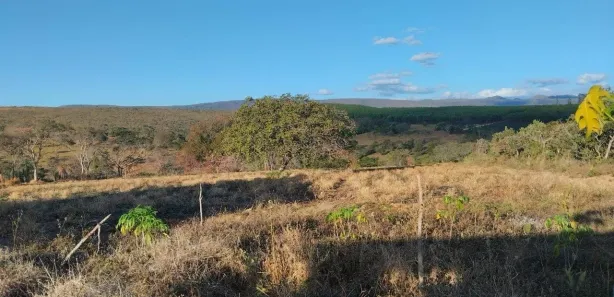 Fazenda/Sítio com 3 Quartos à venda, 180m² no Centro, Santana do Riacho