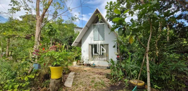 Fazenda/Sítio com 2 Quartos à venda, 80m² no Área Rural de Palmas, Palmas