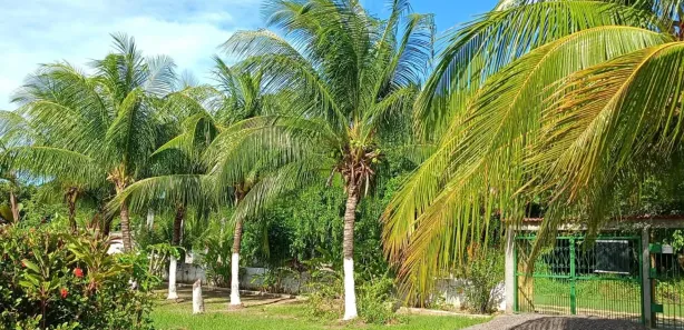 Lote/Terreno à venda, 150m² no Loteamento Bosque Ponta da Areia, Itaparica