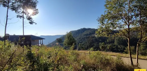 Lote/Terreno à venda, 490m² no , Nova Petrópolis