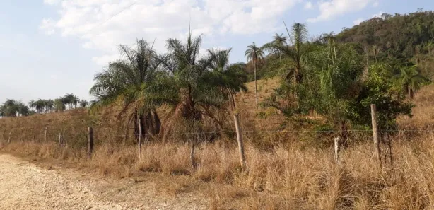 Lote/Terreno à venda, 28500m² no Centro, São José da Lapa