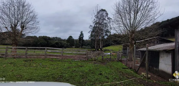 Fazenda/Sítio com 2 Quartos à venda, 90m² no Área Rural de Farroupilha, Farroupilha