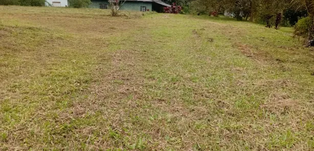 Fazenda/Sítio com 3 Quartos à venda, 338000m² no Guaraqueçaba, Guaraqueçaba