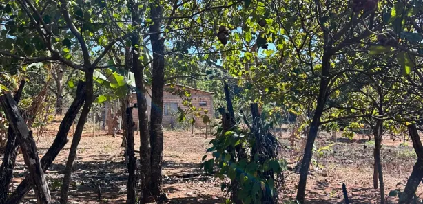 Fazenda/Sítio à venda, 2100m² no , Bonfinópolis