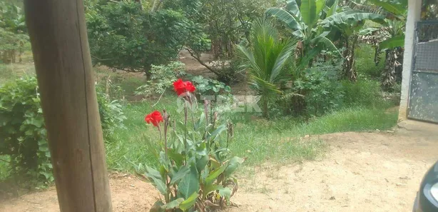Fazenda/Sítio à venda, 24988m² no Lagoa Verde, Tanguá