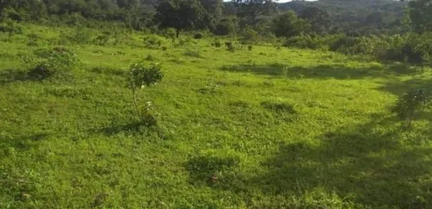 Fazenda/Sítio à venda no Jardim Vera Cruz, Jaraguá