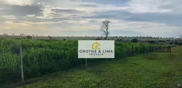 Fazenda/Sítio com 5 Quartos à venda, 800m² no Padre Bernardo, Padre Bernardo