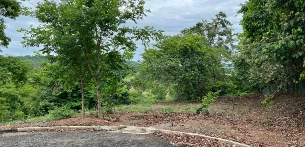 Fazenda/Sítio à venda, 2879m² no , Nerópolis