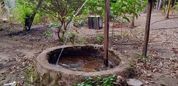 Fazenda/Sítio com 2 Quartos à venda, 18000m² no , Leopoldo de Bulhões