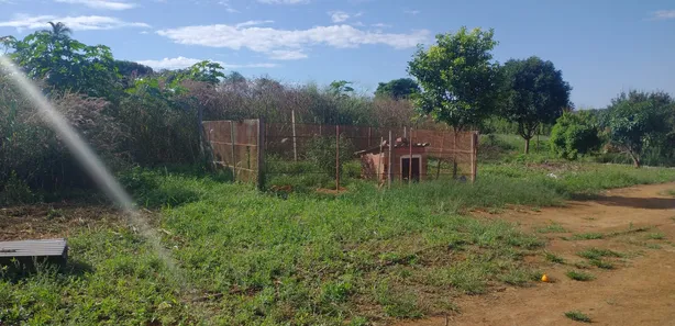 Fazenda/Sítio com 3 Quartos à venda, 5000m² no , Padre Bernardo