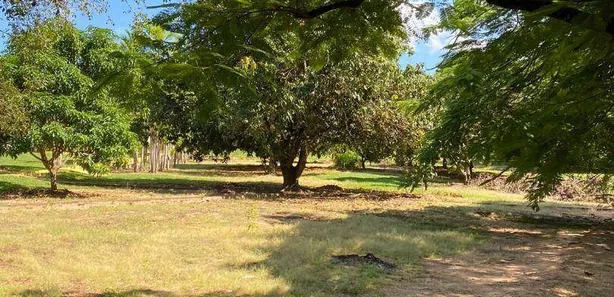 Lote/Terreno à venda, 1500m² no Dois Córregos, Dois Córregos
