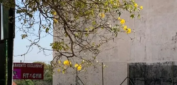 Lote/Terreno à venda, 420m² no Condomínio Residencial Village Vert, Sorocaba