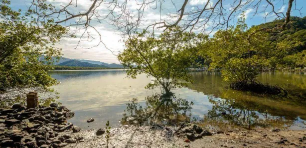 Lote/Terreno à venda, 40435m² no Balneario Praia do Perequê, Guarujá