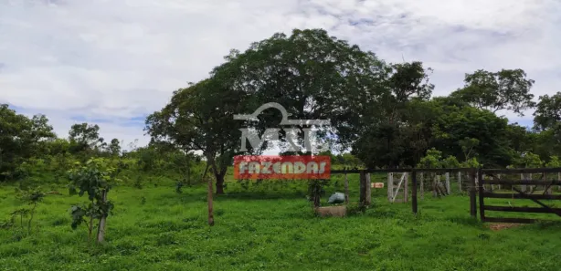 Fazenda/Sítio à venda, 500m² no , Jaraguá