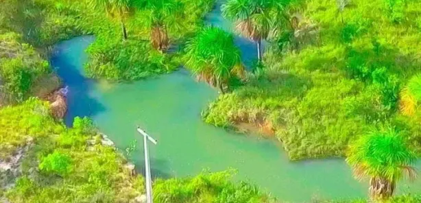 Fazenda/Sítio com 1 Quarto à venda, 625000m² no , Bonfim