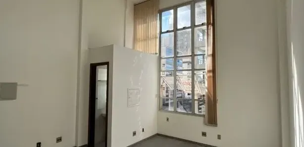 Sala Comercial para alugar, 30m² no Santo Antônio, Belo Horizonte