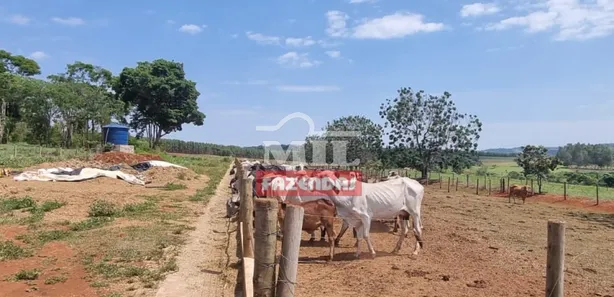 Fazenda/Sítio com 3 Quartos à venda, 500m² no Área Rural de Inhumas, Inhumas