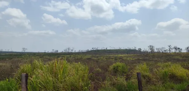 Fazenda/Sítio com 3 Quartos à venda, 800m² no Zona Rural, Coroatá