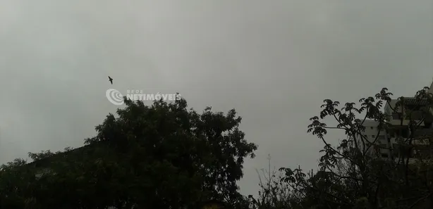 Lote/Terreno à venda, 562m² no Santa Lúcia, Belo Horizonte