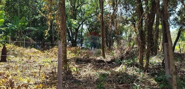 Lote/Terreno à venda, 1230m² no Chácaras do Pinhal (Pinhal), Cabreúva