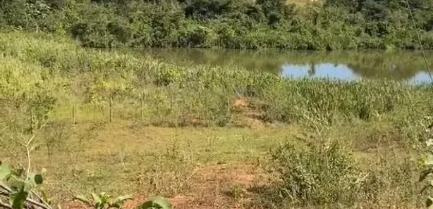 Fazenda/Sítio à venda, 244000m² no , Nova Veneza