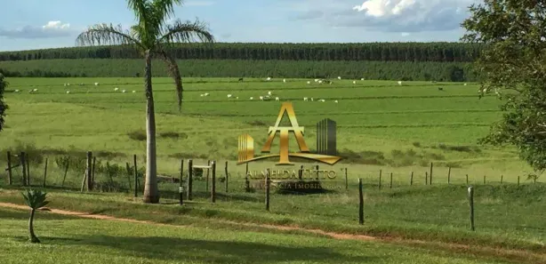 Fazenda/Sítio com 4 Quartos à venda, 200m² no , Avaí