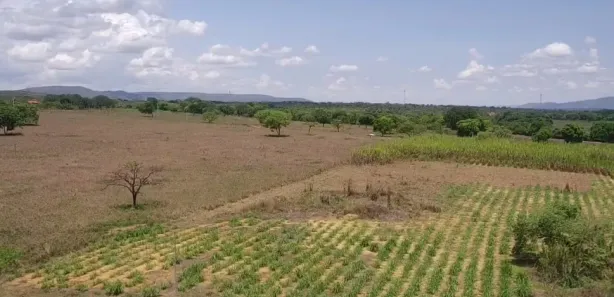 Fazenda/Sítio à venda no , Buritis