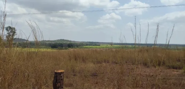 Fazenda/Sítio com 3 Quartos à venda, 800m² no Zona Rural, Coroatá
