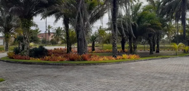 Lote/Terreno à venda, 605m² no , Belmonte