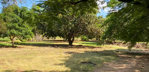 Lote/Terreno à venda, 1500m² no , Dois Córregos