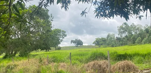 Fazenda/Sítio com 5 Quartos à venda, 35m² no , Silvânia