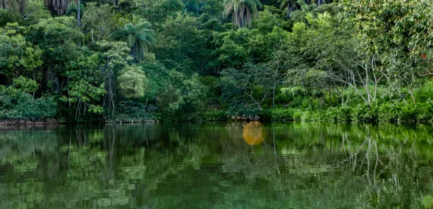 Lote/Terreno à venda, 20000m² no Lagoa Mansões, Lagoa Santa