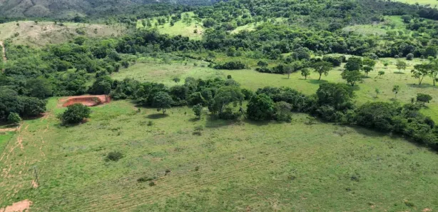 Fazenda/Sítio à venda, 573360m² no , Padre Bernardo