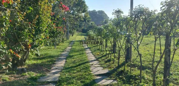Fazenda/Sítio com 3 Quartos à venda, 8000m² no Comunidade Urbana de Jaboticaba, Guarapari