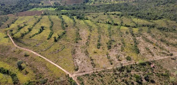 Fazenda/Sítio à venda, 1001m² no Centro, Porto Nacional