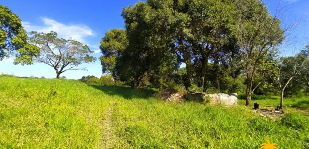 Fazenda/Sítio com 2 Quartos à venda, 50000m² no Bicuíba (Bacaxá), Saquarema
