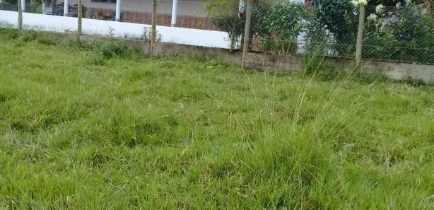 Fazenda/Sítio com 3 Quartos à venda, 9m² no , Goiás