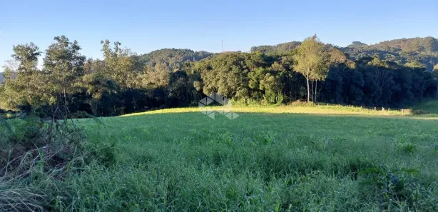Fazenda/Sítio com 1 Quarto à venda, 20000m² no Monte Verde, Farroupilha