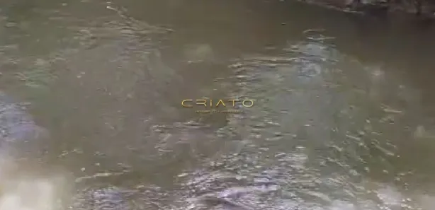 Fazenda/Sítio com 2 Quartos à venda, 5000m² no , Gameleira de Goiás