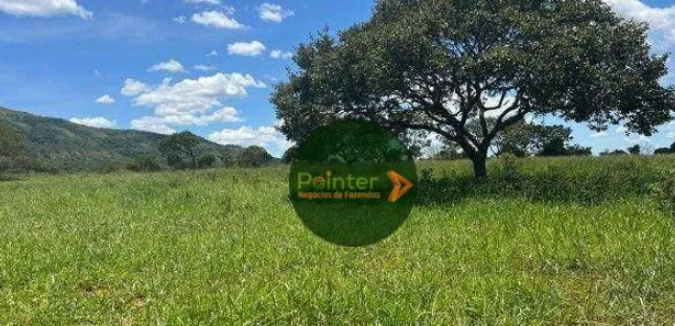 Fazenda/Sítio à venda, 480000m² no , Buritis