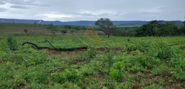 Fazenda/Sítio com 2 Quartos à venda, 22215600m² no Zona Rural, Ponte Alta do Bom Jesus