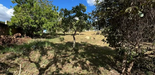 Lote/Terreno à venda, 1017m² no Setor Habitacional Jardim Botânico, Brasília