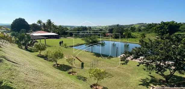 Fazenda/Sítio com 3 Quartos à venda, 100000m² no , Garça