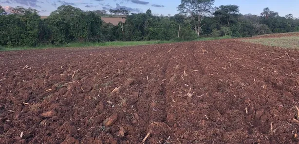 Fazenda/Sítio com 3 Quartos à venda, 100m² no , Abadiânia