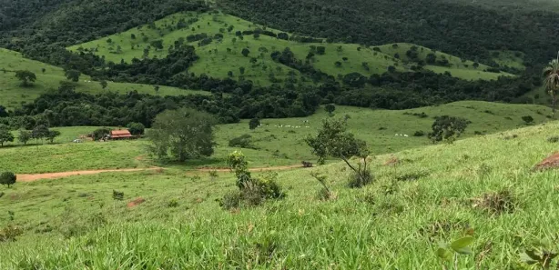 Fazenda/Sítio à venda, 10164000m² no , São Luiz do Norte