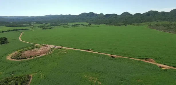 Fazenda/Sítio à venda, 18972800m² no , Niquelândia