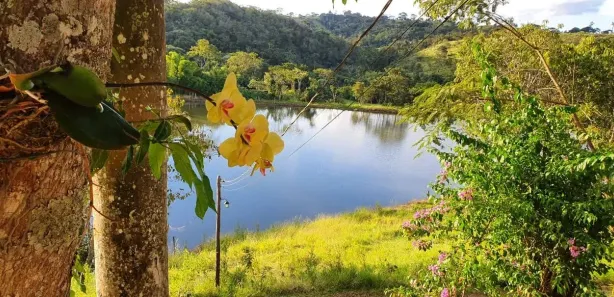Fazenda/Sítio com 3 Quartos à venda, 3024000m² no , Anápolis