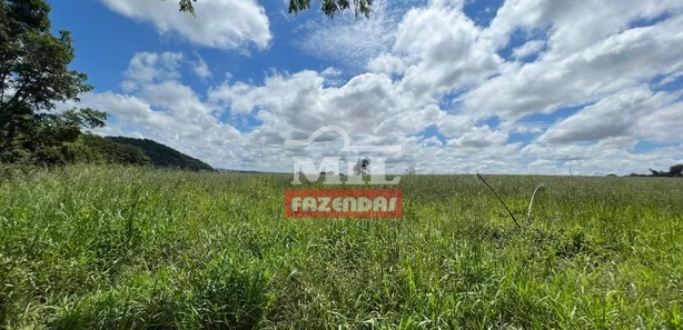 Fazenda/Sítio à venda, 173200m² no , Terezópolis de Goiás
