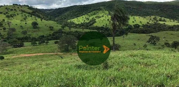 Fazenda/Sítio à venda, 4200000m² no , São Luíz do Norte
