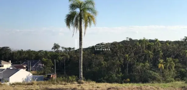 Lote/Terreno à venda, 327m² no João Alves, Santa Cruz do Sul